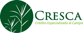 Cresca Moodle
