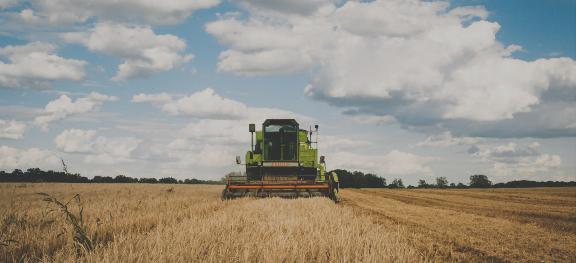 <p>Lorem Ipsum is simply dummy text of the printing and typesetting industry.<br></p>